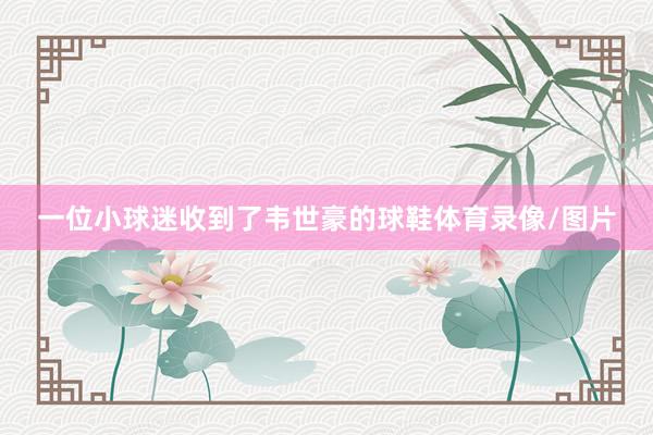 一位小球迷收到了韦世豪的球鞋体育录像/图片