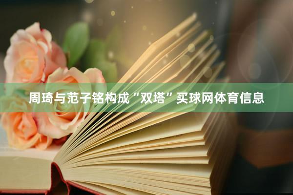 周琦与范子铭构成“双塔”买球网体育信息