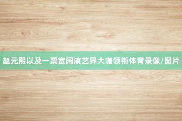 赵元熙以及一票宽阔演艺界大咖领衔体育录像/图片