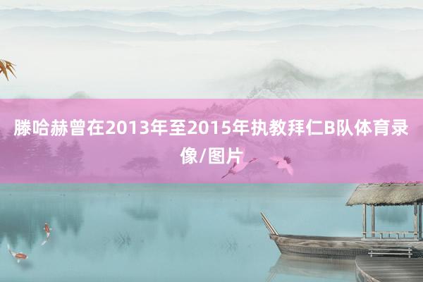 滕哈赫曾在2013年至2015年执教拜仁B队体育录像/图片