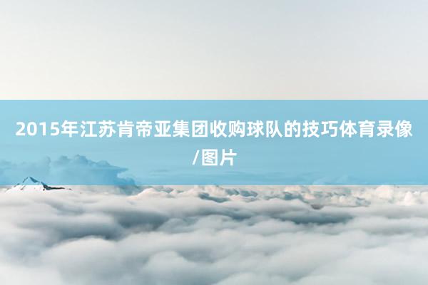2015年江苏肯帝亚集团收购球队的技巧体育录像/图片