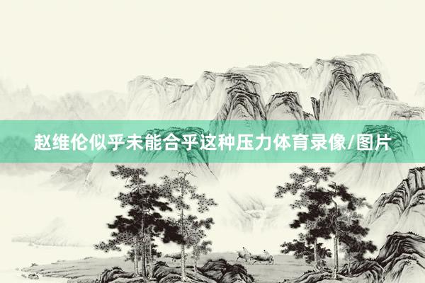 赵维伦似乎未能合乎这种压力体育录像/图片