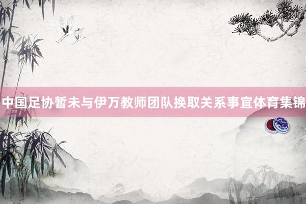 中国足协暂未与伊万教师团队换取关系事宜体育集锦