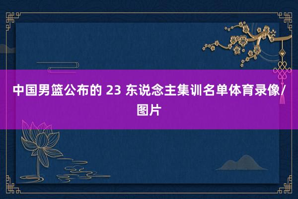 中国男篮公布的 23 东说念主集训名单体育录像/图片