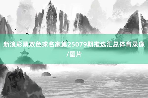 新浪彩票双色球名家第25079期推选汇总体育录像/图片
