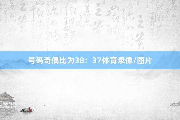 号码奇偶比为38：37体育录像/图片