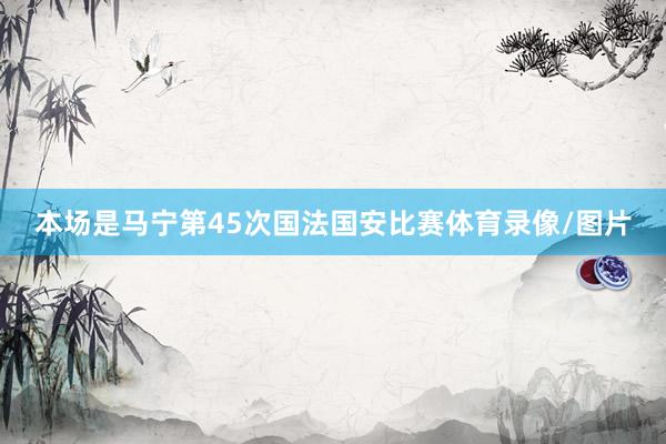 本场是马宁第45次国法国安比赛体育录像/图片