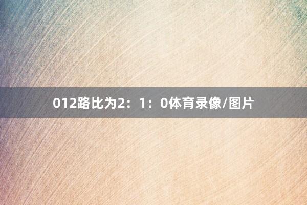 012路比为2：1：0体育录像/图片