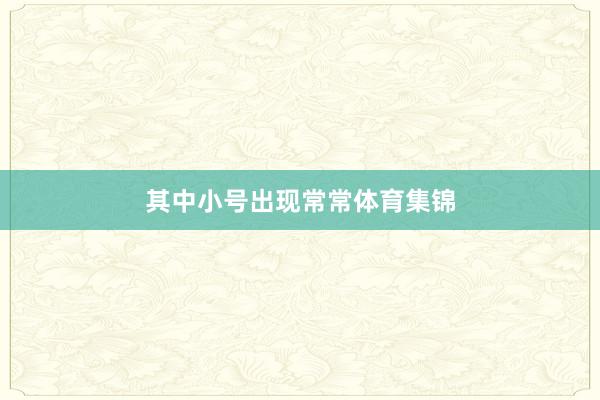 其中小号出现常常体育集锦