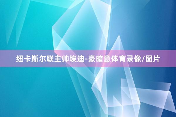 纽卡斯尔联主帅埃迪-豪暗意体育录像/图片