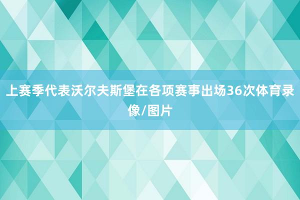 上赛季代表沃尔夫斯堡在各项赛事出场36次体育录像/图片
