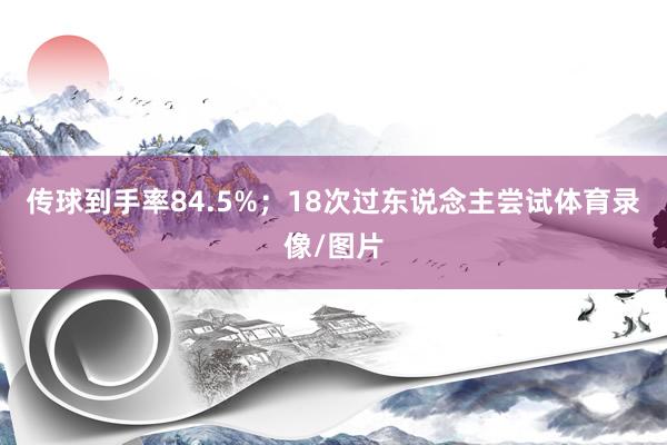 传球到手率84.5%；18次过东说念主尝试体育录像/图片
