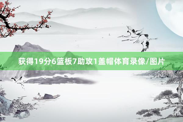 获得19分6篮板7助攻1盖帽体育录像/图片