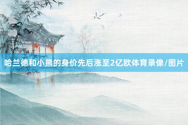 哈兰德和小熊的身价先后涨至2亿欧体育录像/图片