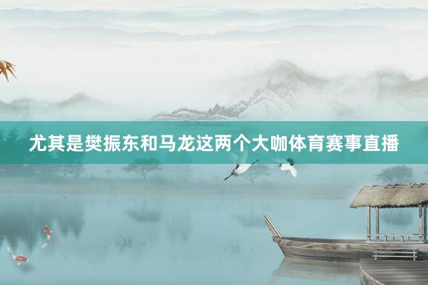 尤其是樊振东和马龙这两个大咖体育赛事直播