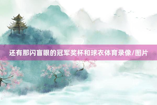 还有那闪盲眼的冠军奖杯和球衣体育录像/图片