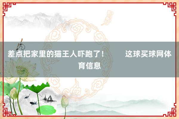 差点把家里的猫王人吓跑了！        这球买球网体育信息
