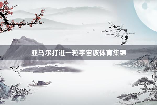 亚马尔打进一粒宇宙波体育集锦