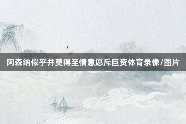 阿森纳似乎并莫得至情意愿斥巨资体育录像/图片