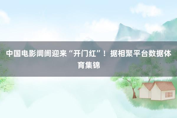 中国电影阛阓迎来“开门红”！据相聚平台数据体育集锦