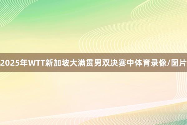 2025年WTT新加坡大满贯男双决赛中体育录像/图片