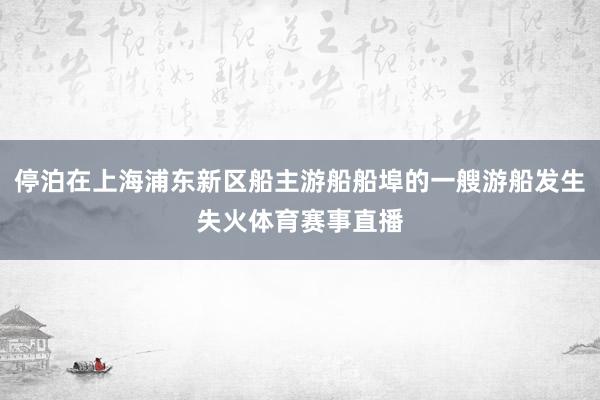 停泊在上海浦东新区船主游船船埠的一艘游船发生失火体育赛事直播