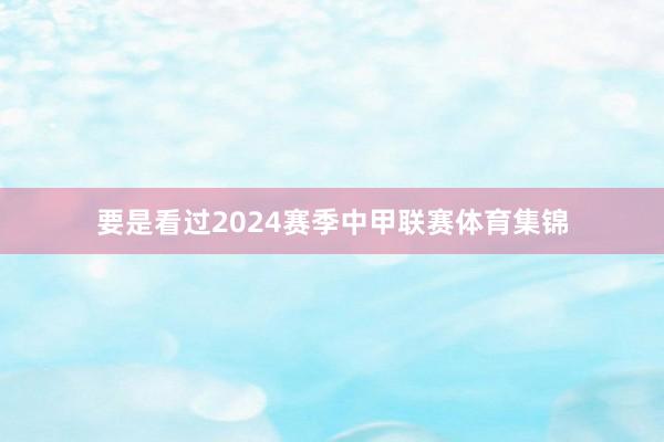 要是看过2024赛季中甲联赛体育集锦