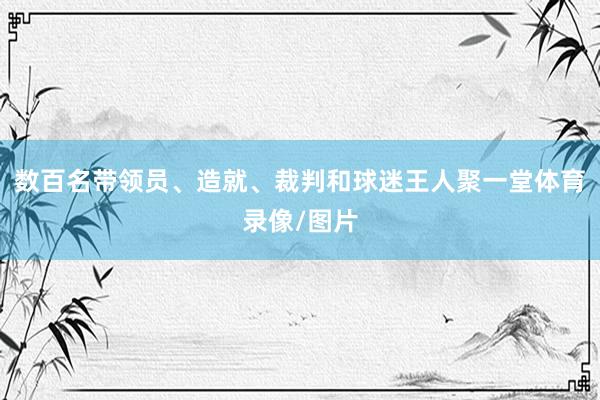 数百名带领员、造就、裁判和球迷王人聚一堂体育录像/图片