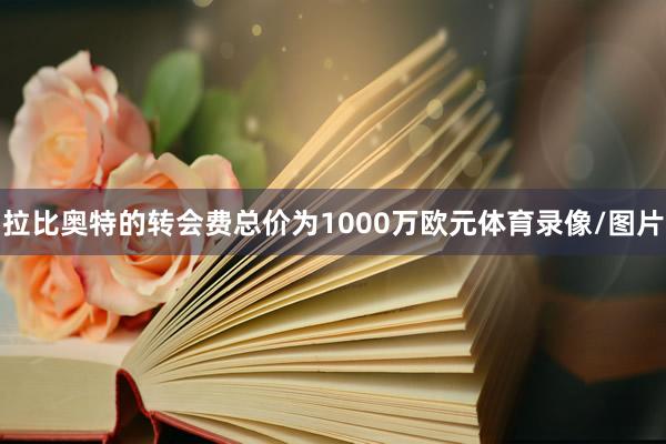 拉比奥特的转会费总价为1000万欧元体育录像/图片