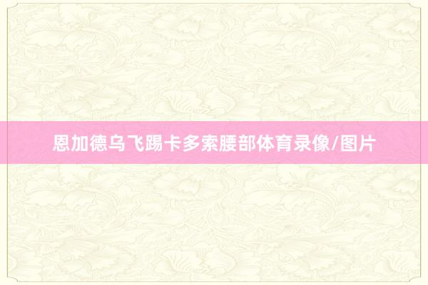 恩加德乌飞踢卡多索腰部体育录像/图片