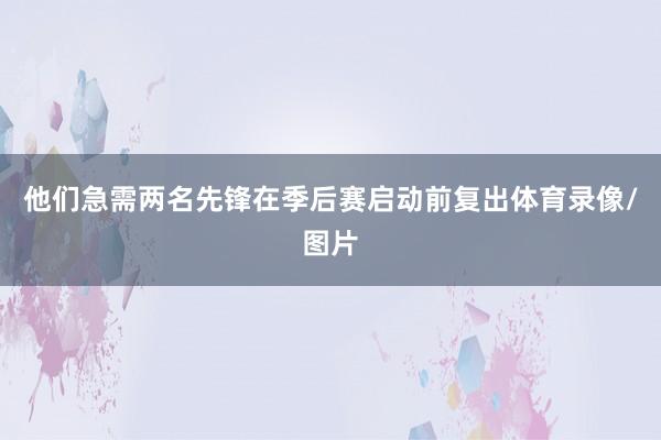 他们急需两名先锋在季后赛启动前复出体育录像/图片