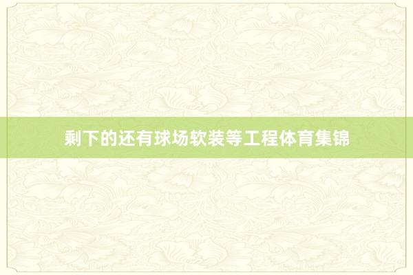 剩下的还有球场软装等工程体育集锦