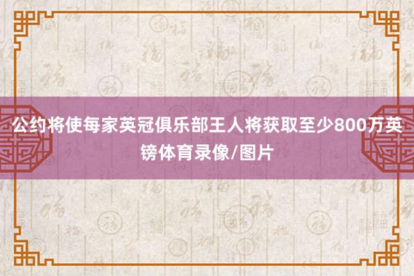 公约将使每家英冠俱乐部王人将获取至少800万英镑体育录像/图片